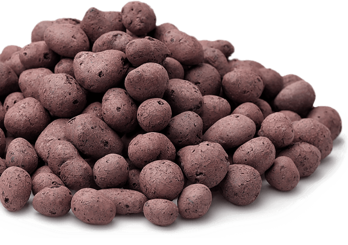 Cellar Retention Wall Filling